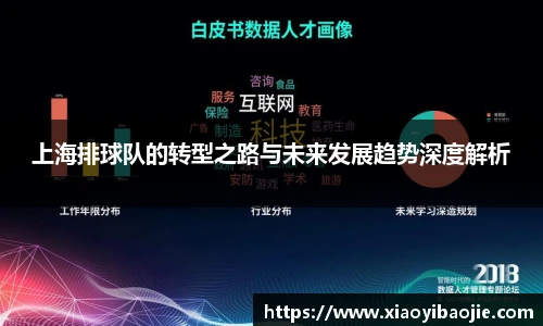 上海排球队的转型之路与未来发展趋势深度解析
